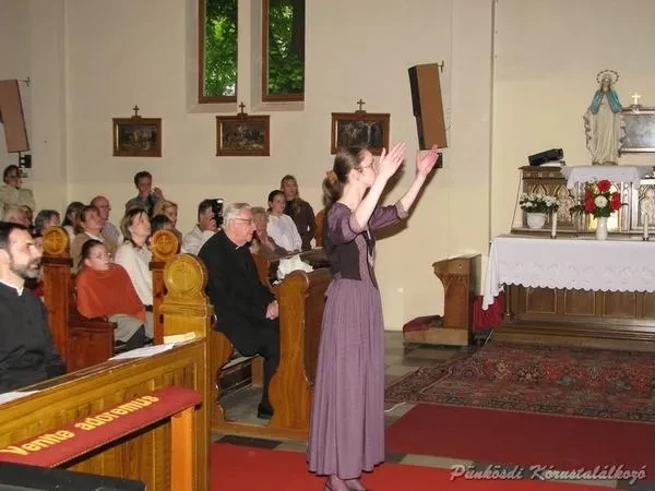punkosdi 2008