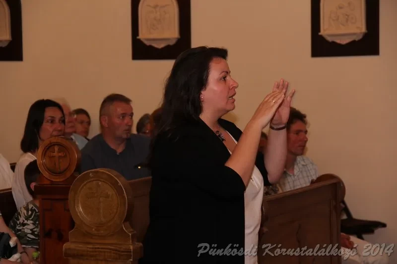 punkosdi 2014 06 05