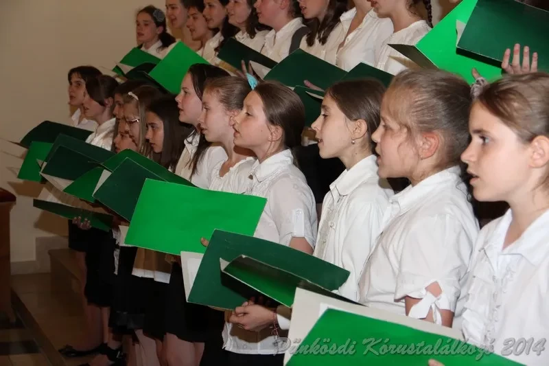 punkosdi 2014 06 05