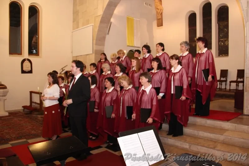 punkosdi 2014 06 05