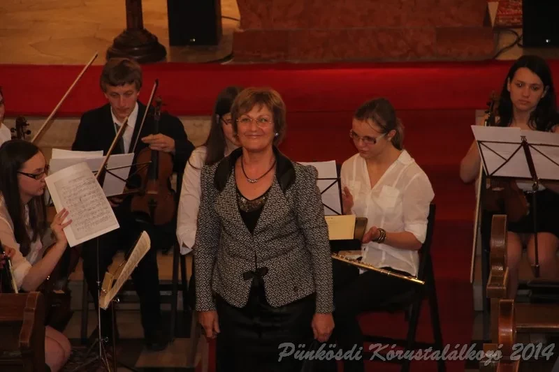 punkosdi 2014 06 06