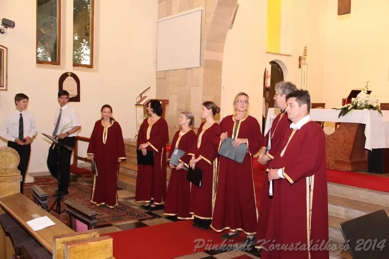 punkosdi 2014 06 06