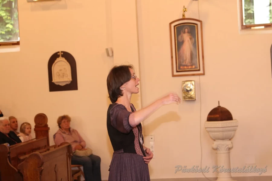 punkosdi 2018 05 17.jpg