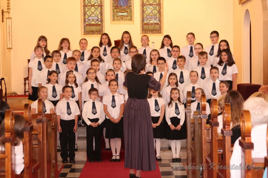 punkosdi 2018 05 17.jpg