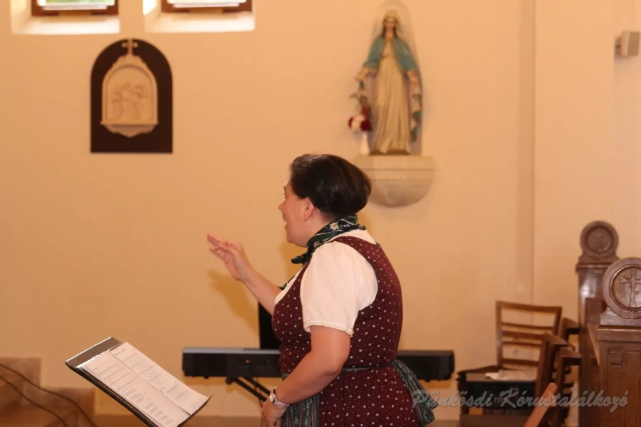 punkosdi 2018 05 17.jpg