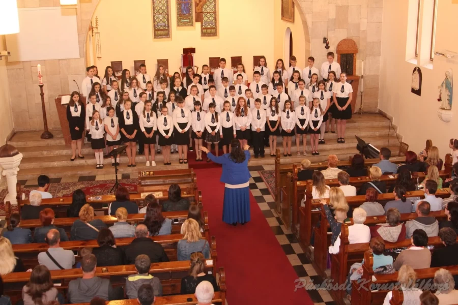 punkosdi 2018 05 17.jpg