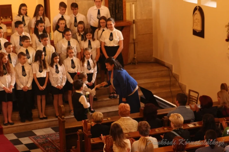 punkosdi 2018 05 17.jpg