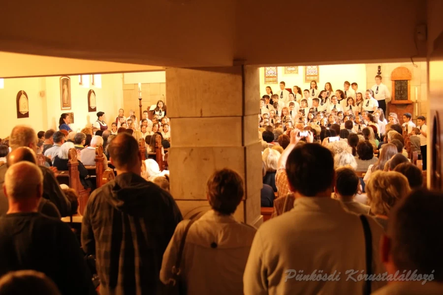 punkosdi 2018 05 17.jpg