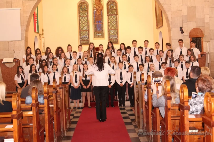 punkosdi 2018 05 17.jpg