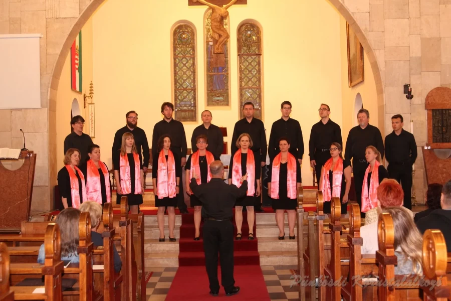 punkosdi 2018 05 17.jpg